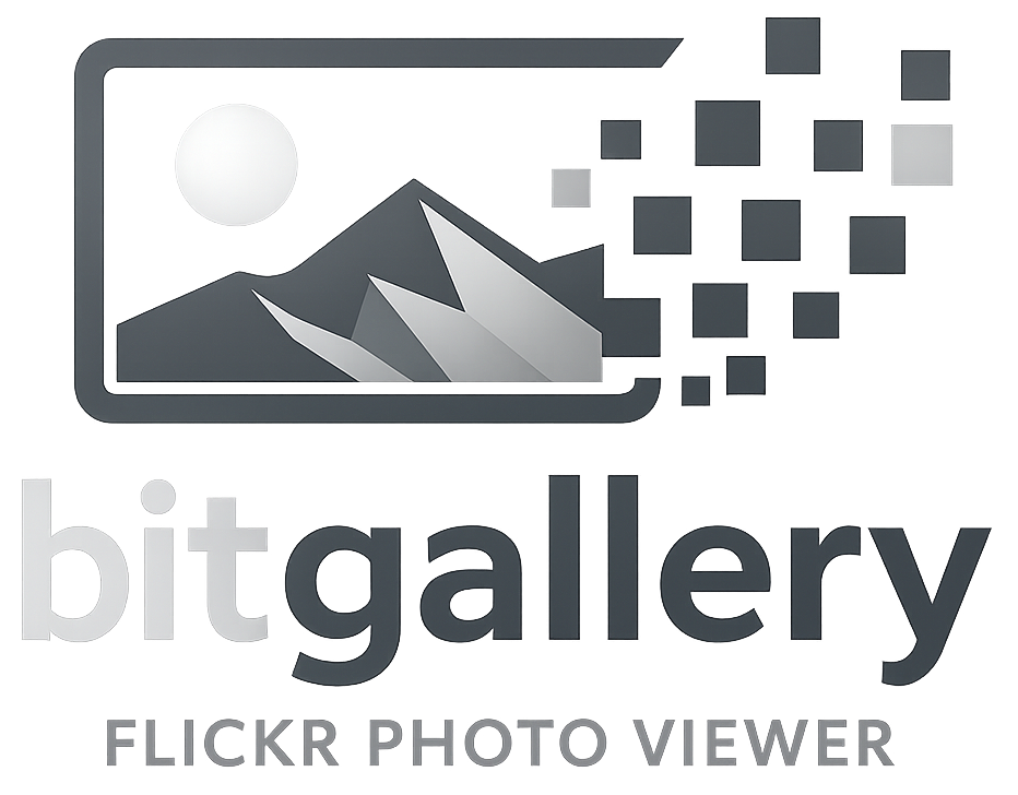 BitGallery logo